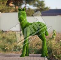 Топиар фигура Жеребенок