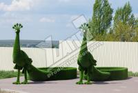 Топиар фигура Павлин клумба, 220 см