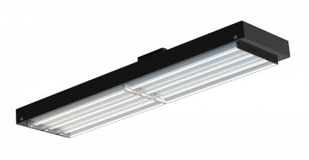 V-lux 70 D – №1
