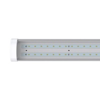 Айсберг v2.0 40 1200мм Эко 12-24V DC 5000К Прозрачный